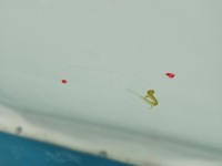 Szyba drzwi przód lewa KIEROWCY Land Range Rover sport I L320 HB