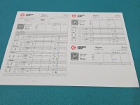 Wtryskiwacz Peugeot 307 0445110259 1.6 hdi