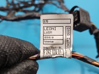 Instalacja Wiązka drzwi przód lewych BMW X6 E71 924207001, 9169242