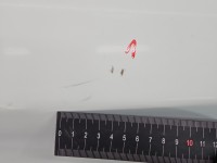 Drzwi tył lewe Fiat Tipo II 15- sedan 4d 249