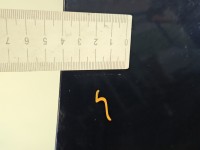 Błotnik przód prawy Suzuki Sx4 I 06- ZJP