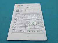 TESTOWANY Wtryskiwacz komplet Renault Scenic I 0445110021 1.9 dci