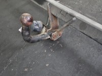 Hak holowniczy Vw Passat B5