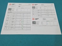 Wtryskiwacz Renault Scenic II 0445110110 1.9d