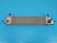 Intercooler Nissan Qashqai I J10 06-13 2.0 dci 14461-JD50B, G3062005