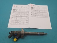 Wtryskiwacz Citroen C4 Grand picasso I 06-13 0445110297 1.6 HDi
