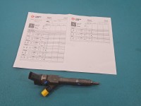 Wtryskiwacz Renault Megane II 0445110230, 8200389369 1.9 dci