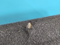 Schowek pasażera Kia Carens III 06-13 EUROPA