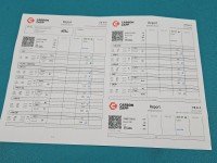 TESTOWANY Wtryskiwacz Opel Corsa D 0445110183 1,3.0 cdti