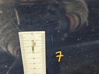 Drzwi tył prawe Ford Fusion HB 5d granatowy JU2