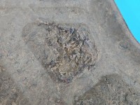 Wygłuszenie maski PODBITKA INFINITI QX50