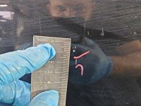 DRZWI PRZÓD PRAWE PASAŻERA Vw Polo III 6N 3d czarny LC9Z