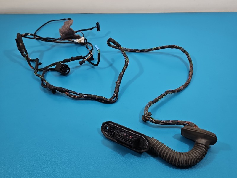 Instalacja Wiązka drzwi tył prawych BMW X6 E71 920786003, 6925542, 6925548