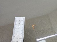 Klapa tył Toyota Corolla E21 19- sedan 4d beżowy 6x1 Klapa tył Toyota Corolla E21 19- sedan 4d beżowy 6x1