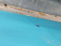 Drzwi tył prawe Citroen C3 II 09-16 HB 5d KTH