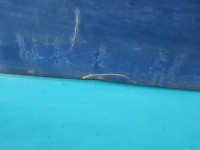 Klapa tył Vw Transporter T4 HB 5d granatowy