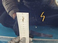 Klapa tył Ford Fusion HB 5d granatowy JU2 Klapa tył Ford Fusion HB 5d granatowy JU2