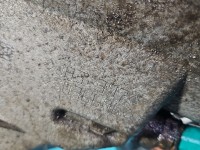 Skrzynia biegów JH3 397, JH3397 Dacia Sandero II 12-20 1.0 12V Sce