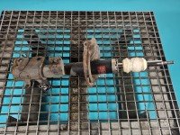 Amortyzator przód lewy przedni Infiniti FX I Amortyzator przód lewy przedni Infiniti FX I