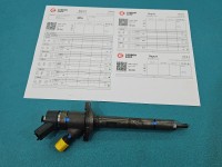 Wtryskiwacz Peugeot 307 0445110259 1.6 hdi