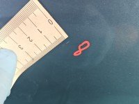 DRZWI PRZÓD LEWE KIEROWCY Ford Focus Mk1 5d