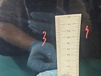 DRZWI PRZÓD PRAWE PASAŻERA Bmw f10 f11 5d A89