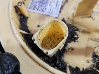 pompka Pompa paliwa Audi A4 B9 2.0 TDI 8W0919088K