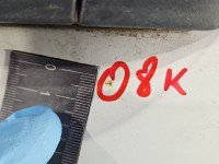 DRZWI PRZÓD LEWE KIEROWCY Kia Picanto I 5d biały UD