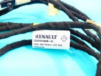 Wiązka instalacja Europejska, wiązka anten z modułami Renault Talisman 282434368R-A, 10365830, 10364457