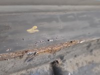 Listwa progowa prawa PRÓG NAKŁADKA Mercedes W222 A2226902240 197