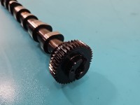 Wałek rozrządu Vw Sharan II 10- 2.0 tdi