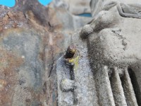 Komputer Sterownik silnika 55205621 Opel Zafira B 1.9 cdti