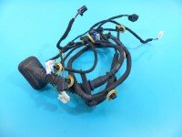 Instalacja Wiązka drzwi tył prawych Renault Talisman 241264591R