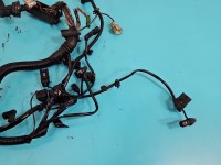 InstalacJa Wiązka silnika 850790407, 758067806C 2.0d (N47D20C) bmw F30