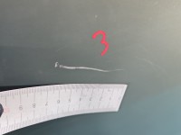 Drzwi tył lewe Renault Scenic I HB 5d