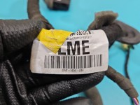 Instalacja Wiązka drzwi tył lewych Ford Kuga Mk2 II 13-19