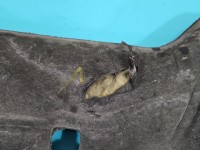 Wygłuszenie pozostałe PODBITKA Toyota Corolla E16 E18 13-