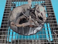 Zwrotnica prawa piasta przód 2.2 cdi Mercedes W211