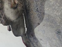 Błotnik przód prawy Renault Scenic I bordowy NV713