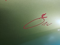 DRZWI PRZÓD PRAWE PASAŻERA Citroen C3 Picasso 08-17 5d KARC