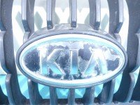 Atrapa grill Kia Picanto I