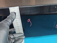 Drzwi tył prawe Renault Scenic III HB 5d brązowy TECNB