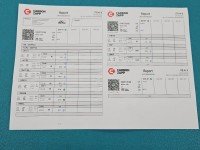 TESTOWANY Wtryskiwacz Opel Movano II 0445110168 3.0 dti (ZD3-202)