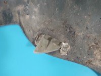 Zderzak przód Audi 80 B4 zgniła zieleń