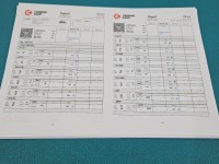 TESTOWANY Wtryskiwacz Citroen C5 II X7 2.0 hdi 136KM