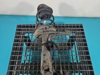 Amortyzator przód lewy przedni Toyota Prius II XW20 03-