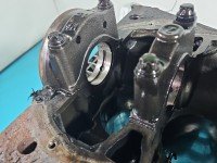 Blok silnika Renault Megane III 1.5 dci (K9KJ836)