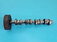 Wałek rozrządu Audi A4 B7 1.9 tdi