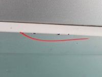 DRZWI PRZÓD PRAWE PASAŻERA Renault Megane II 5d