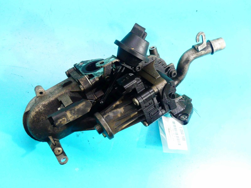 Zawór egr CITROEN, 5pin Citroen C3 II 09-16 1.4 hdi 2342218419, 50563903